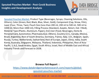 Spouted Pouches Market - Post-Covid Business Insights and Development Analysis