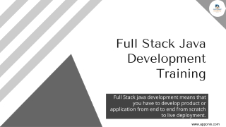 Java full stack developer