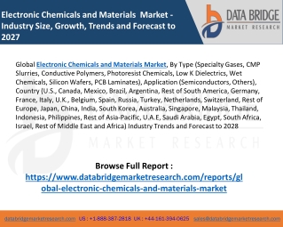 Electronic Chemicals and Materials Market
