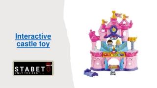 interactive castle toy