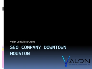 Seo Company Downtown Houston