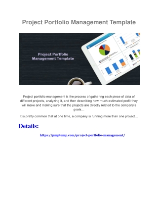 Project Portfolio Management Template