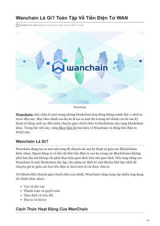 Wanchain Là Gì? Toàn Tập Về Tiền Điện Tử WAN