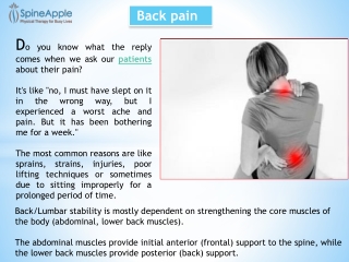 Physical Therapy for back pain in Wayne County