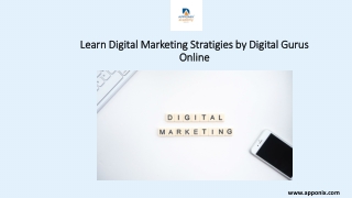 Learn Digital Marketing Stratigies by Digital Gurus Online
