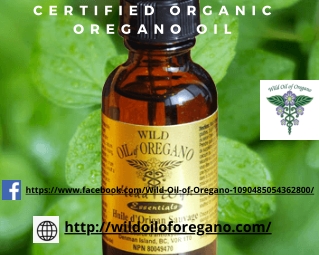 Certified Wild Mediterranean Oregano Oil