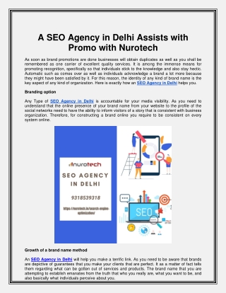 A SEO Agency in Delhi Assists with Promo with Nurotech