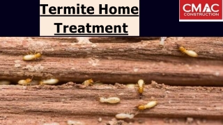 Termite Home Treatment
