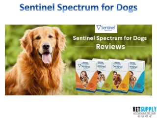 Sentinel Spectrum Flea, worms, and Heartworms Treatment for Dogs |Dog Supplies