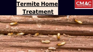 Termite Home Treatment