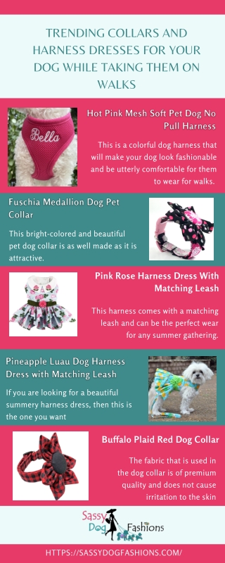 Trending Collars And Harness Dresses For Your Dog While Taking Them On Walks