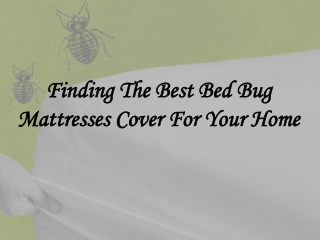 Finding The Best Bed Bug Mattresses Cover For Your Home