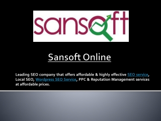 Professional SEO Services