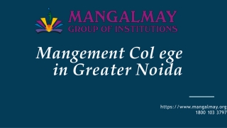 Mangement College in Greater Noida