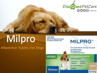 Buy Milpro Allwormer Tablets For Dog Online | DiscountPetCare