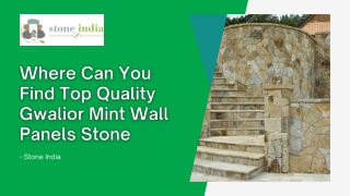 Where Can You Find Top Quality Gwalior Mint Wall Panels Stone