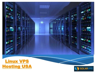 Linux VPS Hosting USA