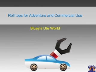 Roll Tops for Adventure and Commercial Use