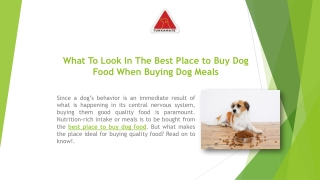 What To Look In The Best Place to Buy Dog Food When Buying Dog Meals