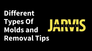 Different Types Of Molds and Removal Tips
