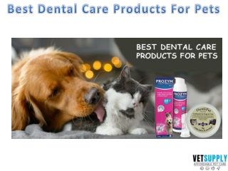 Best Dental Care Products for Pets | Dental Care | VetSupply