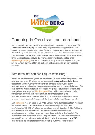 Camping met hond Nederland