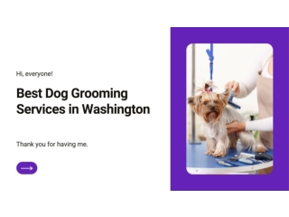 Best Dog Grooming Services in Washington