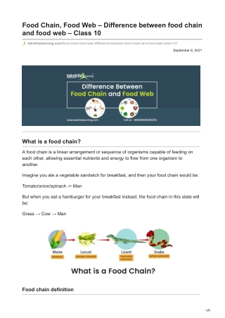Difference between food chain and food web - Class 10 - Science