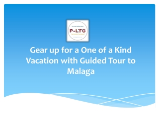 Guided Tour to Malaga