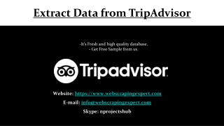 Extract Data from TripAdvisor