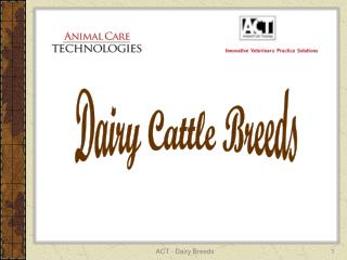 Dairy Cattle Breeds