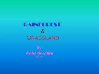 RAINFOREST &amp; Grassland