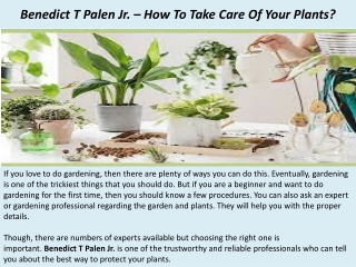 Benedict T Palen Jr. – How To Take Care Of Your Plants?