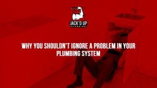Why Not Ignore A Problem In Your Plumbing System