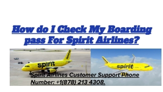 How do I Check My Boarding Pass for Spirit Airlines? PDF