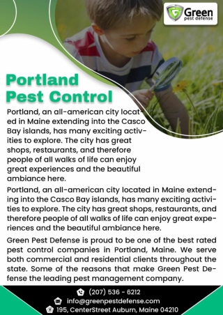 Rodent Control Maine | Pest Control Midcoast Maine