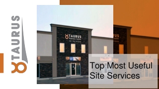 Top Most Useful Site Services