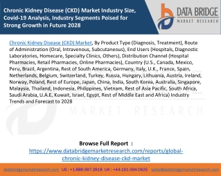 Chronic Kidney Disease (CKD) Market Industry Size, Covid-19 Analysis, Industry Segments Poised for Strong Growth in Futu