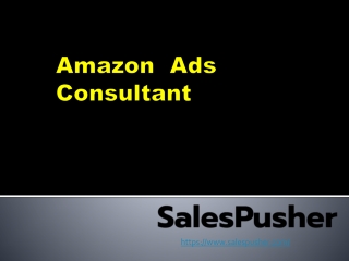 Amazon  Ads Consultant