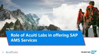 Role of Acuiti Labs in offering SAP AMS Services