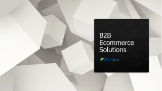 B2B Ecommerce Solutions