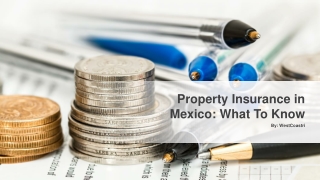 Property Insurance in Mexico What To Know