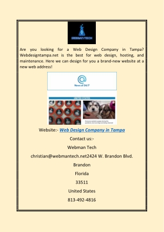 Web Design Company in Tampa | Webdesigntampa.net