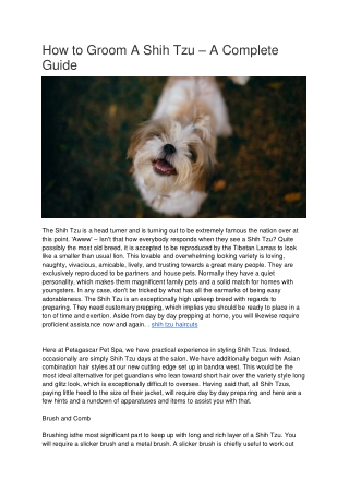 How to Groom A Shih Tzu – A Complete Guide