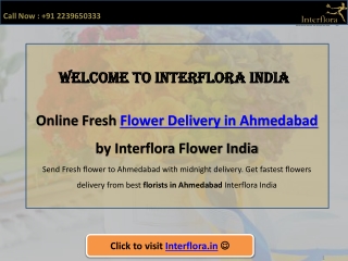 Flowers Delivery in Ahmedabad Online - Interflora India