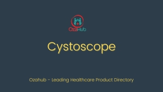 Cystoscope