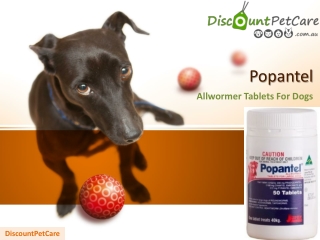 Buy Popantel Allwormer Tablets For Dogs Online | DiscountPetCare