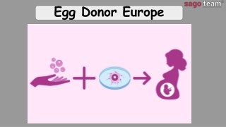 Best Egg Donor Clinic In Europe