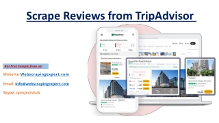 Scrape Reviews from TripAdvisor 