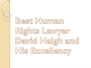 Best Human Rights Lawyer David Haigh and His Excellency